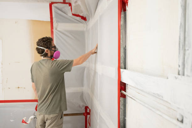 Best Commercial Mold Inspection  in Goodhue, MN