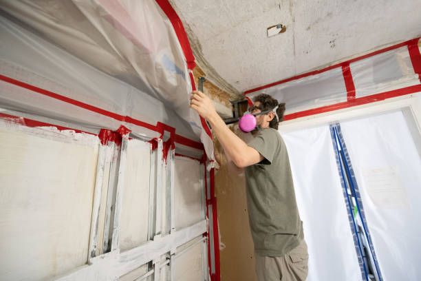 Reliable Goodhue, MN Mold Removal Solutions