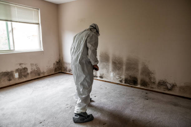 Biohazard Mold Removal in Goodhue, MN